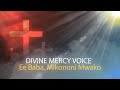 Ee Baba mikononi mwako (official lyrics)  By Fabian lugalaba - DIVINE MERCY VOICE(DMV)