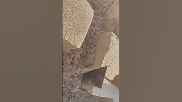 نفسي في بنوته منك وتكون شبهك ونسميها غزال 