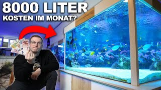 *LOW BUDGET* 8.000 Liter Meerwasseraquarium  Was sind die monatlichen Kosten?