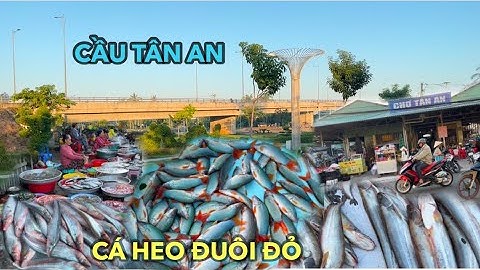 CHỢ TÂN AN “CON NƯỚC THÁNG 10 MÙA “Cá heo đuôi đỏ, cá leo...” ngập tràn đặc sản biên giới AG.