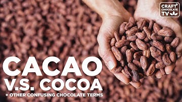 Cacao vs Cocoa & other Confusing Chocolate Terms - Ep.49 - Craft Chocolate TV