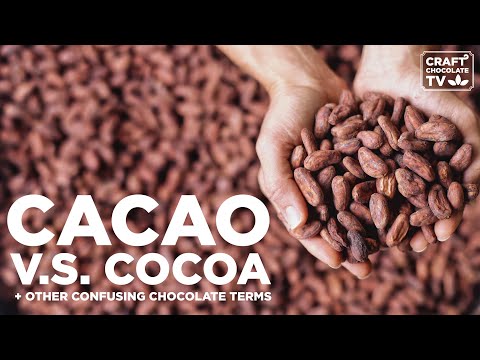 Cacao vs Cocoa & other Confusing Chocolate Terms - Ep.49 - Craft Chocolate TV