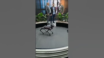 Check out this TECNO Dynamic 1 robotic dog #TECNOxMWC24 #ReachForTheFuture #tech  #tecno #ai #shorts