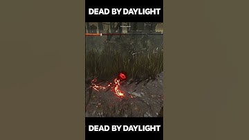 Spectating a Cheater in DBD 2v8 Mode