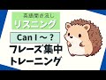日常英語！「Can I ～?」フレーズ集中トレーニング【リスニング】 使える英会話フレーズ 初級　聞き流し英語