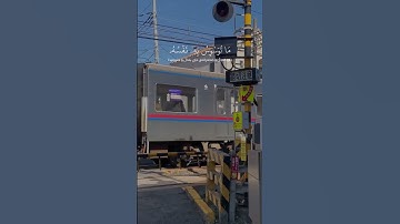 سورة ق الآية ١٦ القارئ محمد صديق المنشاوي