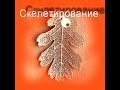 Скелетирование листьев. Украшения в технике Скелетон.