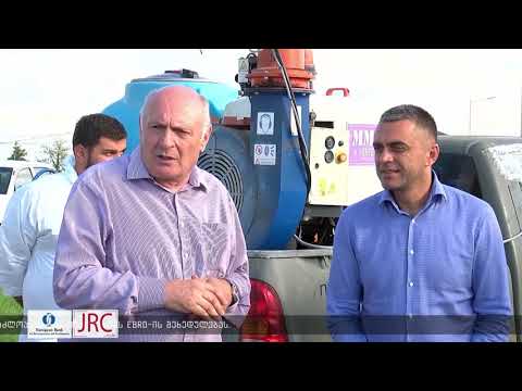 როგორ ვებრძვით აზიურ ფაროსანას