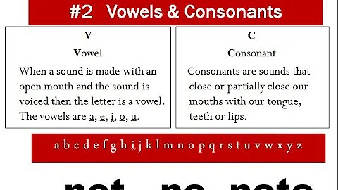 #2 IDENTIFYING VOWELS AND CONSONANTS HELP READERS ...