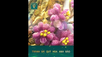 CHIÊM NGƯỠNG TỪNG CHI TIẾT TRANH ĐÁ QUÝ HOA ĐÀO - PHÚC VƯỢNG LUXURY