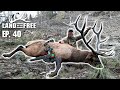 Surprise Bull Kill, Final Day (GIVEAWAY) | LOF3 Ep. 40
