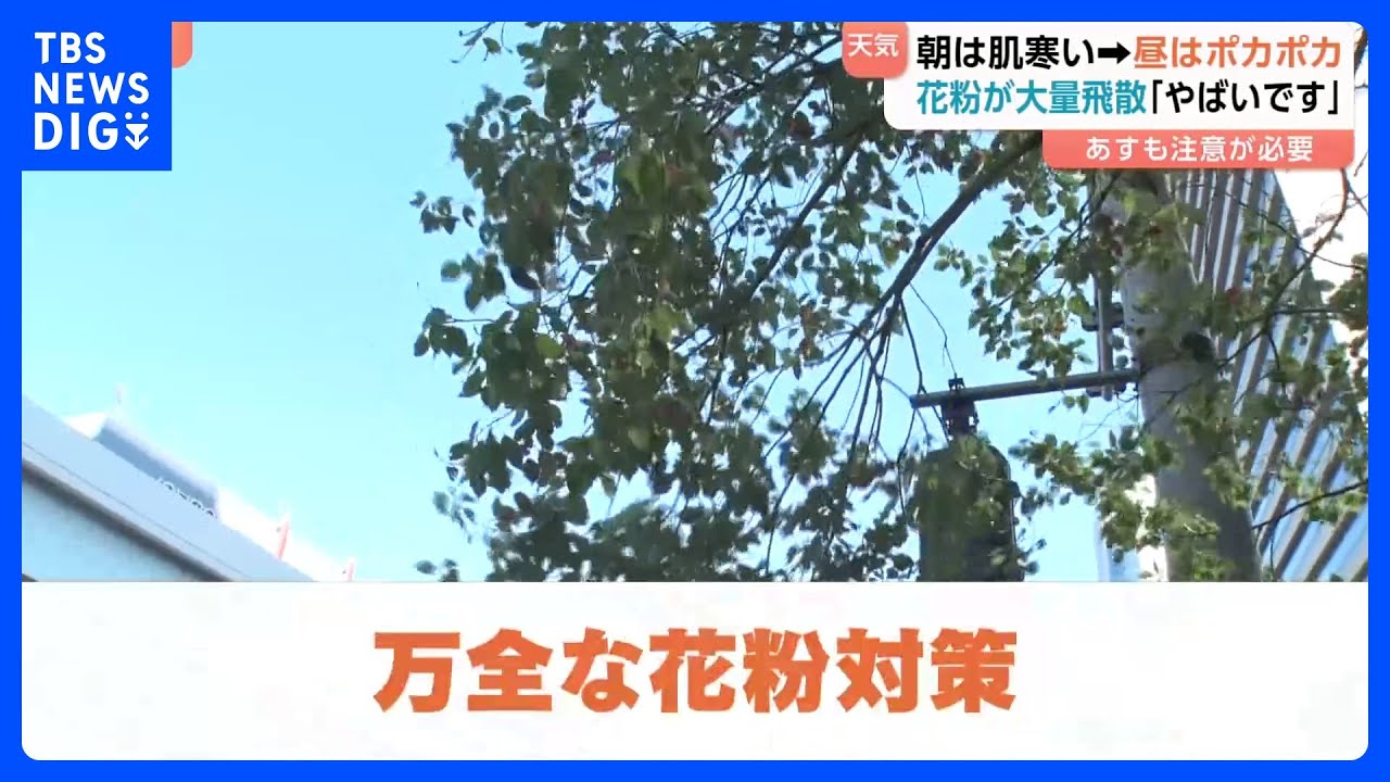 東京は朝はブルブル昼はポカポカ　雨上がりで花粉が大量飛散 「やばいですね」強風でさらに注意が必要に｜TBS NEWS DIG