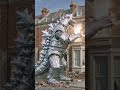 MECHAGODZILLA BE LIKE (1st Video)