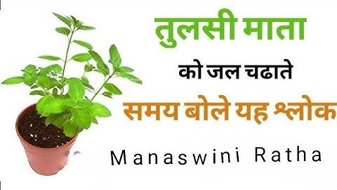 Tulasi mantra, tulsi mantra jaap, tulsi mantra chanting, devotion
