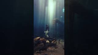 Download Lagu BANYU BIRU, PASURUAN #pasuruan #banyubiru #sumberair #freediving #underwater MP3