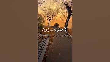 سورة يس الآية(76) #فلايحزنك_قولهم #القارئ_محمد_هشام