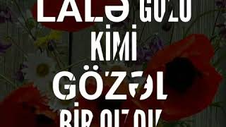 Lalə adına gözəl bəstə...