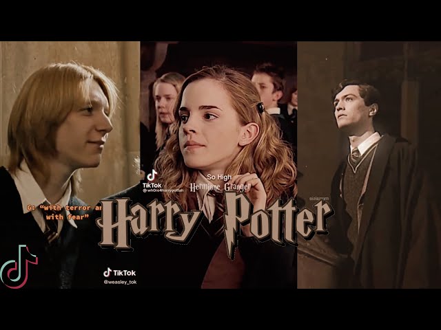 love them 😍 #harrypotter #edit #harrypottertiktok #hermionegranger #r