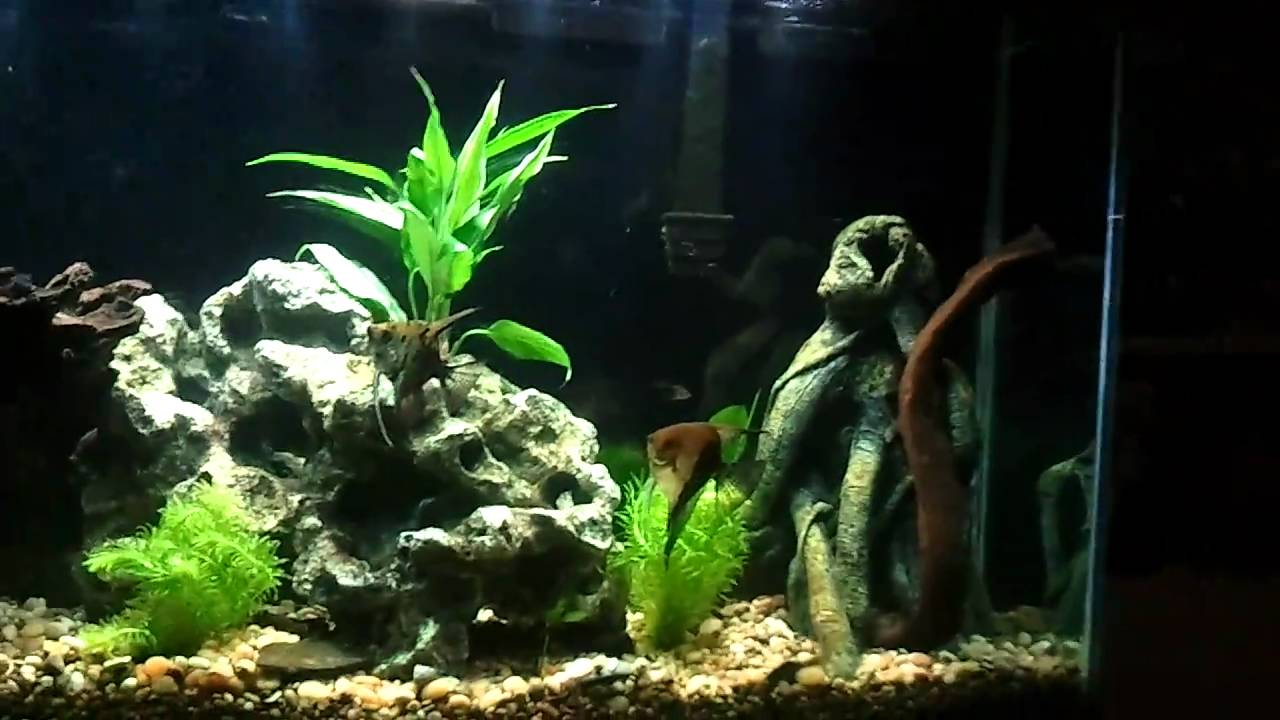 marineland double bright led