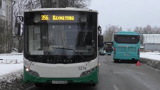 Транспортный коллапс в Петергофе во время ремонта.Пробка автобусов разъезжается на узкой улице