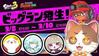 【ビッグラン】ビッグまんぷく杯当日！優勝目指して頑張るぞぉぉぉ！！【サーモンラン】