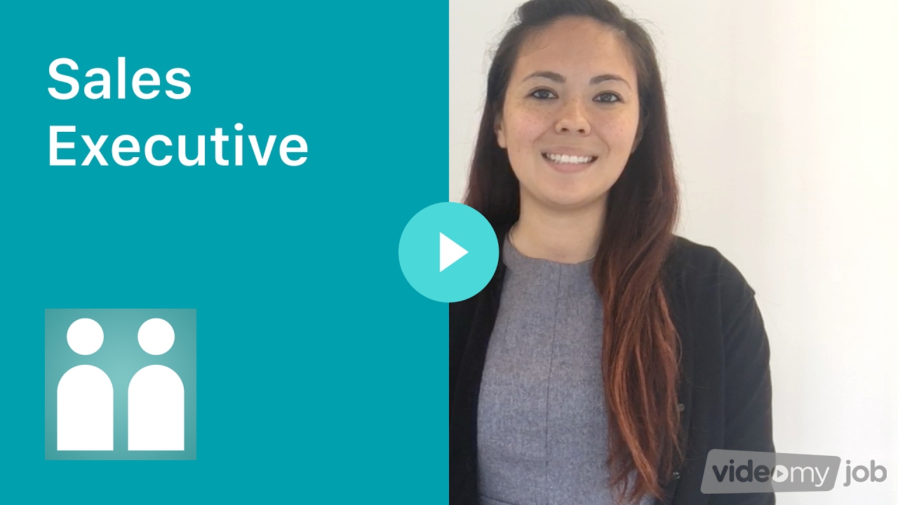 sales executive youtube