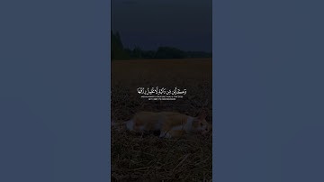 عبد الرحمن مسعد   سورة العنكبوت 🤍  #اكسبلور #قران كريم #قرآن #ارح قلبك #عبدالرحمن مسعد #راحة نفسية