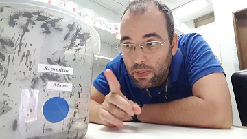 Como surgiu o cromossomo Y por que é útil saber esta informação?