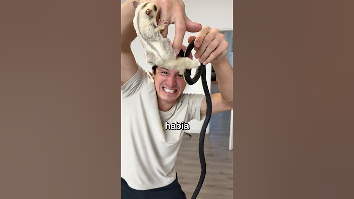 Me Mordió Una Víbora Venenosa ￼😱🐍