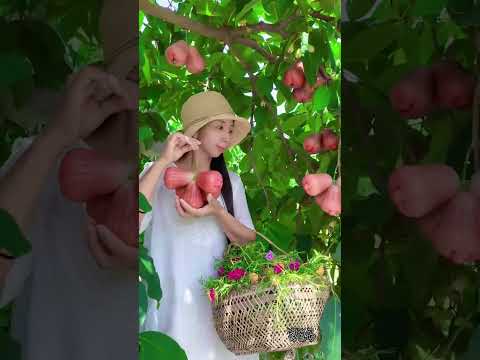 Enjoy beautiful nature