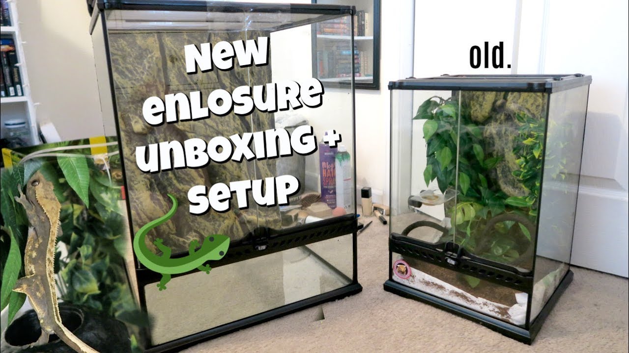 cheap crested gecko enclosure