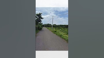 bán đất 1.000m2 mặt tiền đường nhựa tại xã Nghĩa Thành, tp Hồ Chí Minh #batdongsan #muabandatgiare