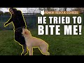 AGGRESSIVE GERMAN SHEPHERD TRIES TO BITE DOG TRAINER