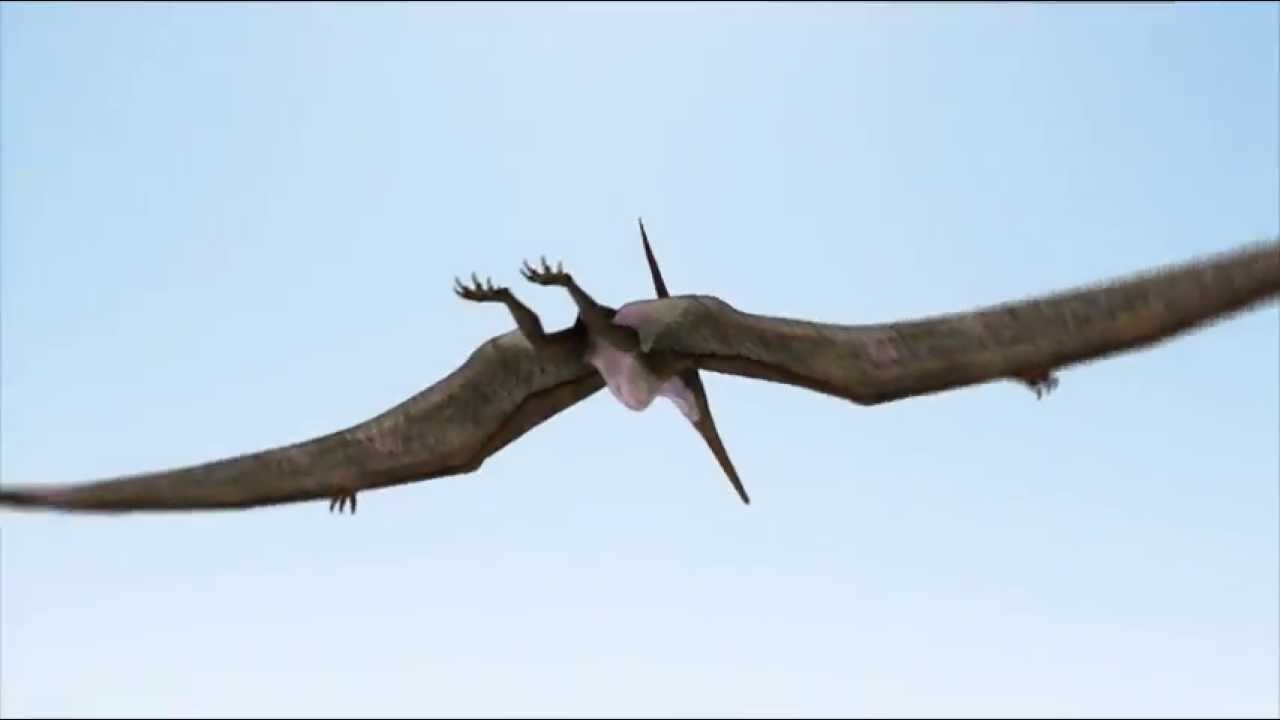 プテラノドン Pteranodon Cg再現 Youtube