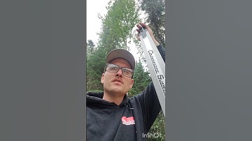 The Miracle Of Chainsawbars