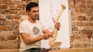 Онлайн заняття з Єгором Кулаковським. Йогатерапия спины. Упражнения для шеи, поясницы.