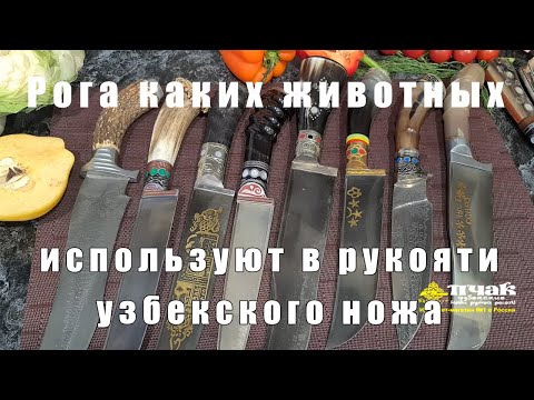 Рога каких животных