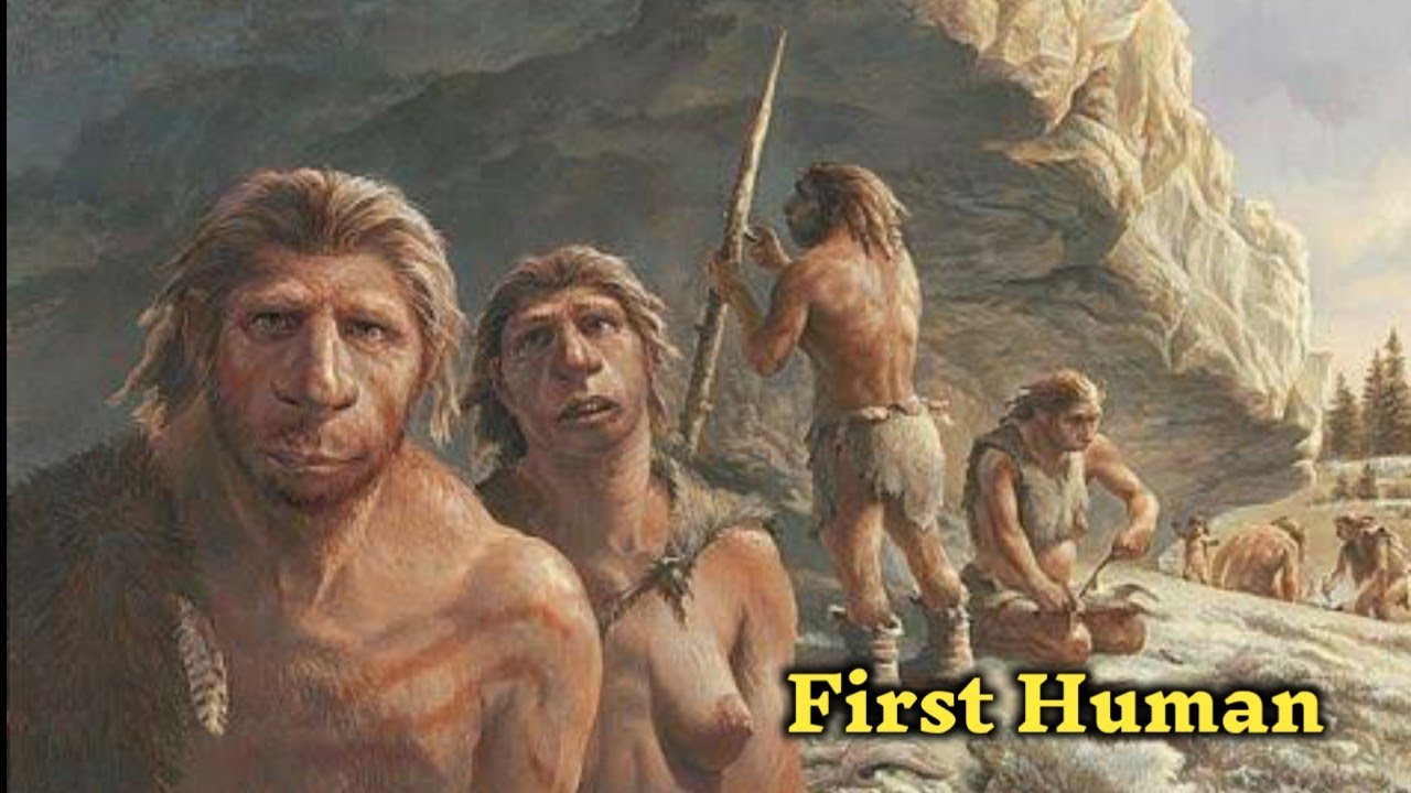How Was The First Human Born How Was The First Human Born