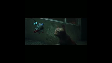 Jail Escape in Stray Pc #straygame #straygameplay #pc #game #gaming