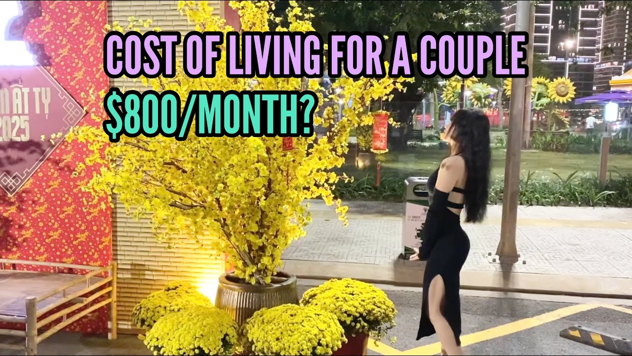 COST OF LIVING IN DA NANG VIETNAM VIRGIN BRAND NEW APARTMENT Cost of living in da nang vietnam virgin brand new apartment