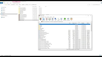 25  Portable Browser