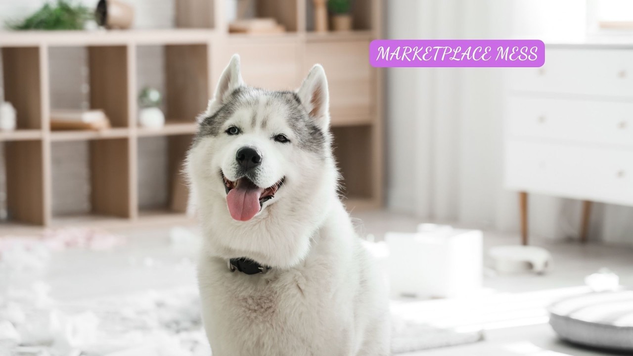 ОРГАНИЗАЦИЯ ОТДЫХА ДОМА - МАРКЕТПЛЕЙС МАССОВЫЙ БАРДАК