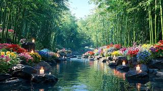 Body Spa Massage Sleep Stream with Piano Instrumental #relaxingmusic