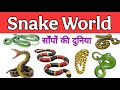 Learn 15 different snake names 🐍 | 😨 dangerous reallife videos | hindi explanation