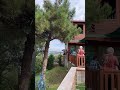 Millet bahçesi # park # gezinti #heyecan #deniz #ağaçlar #doğa