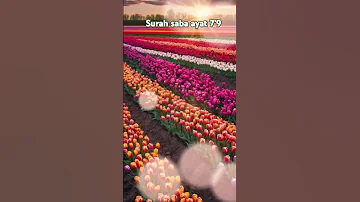 Surah Saba Ayat 7 9 With Urdu Tarjuma Trendingshorts Quranlove Trending Ytshorts 