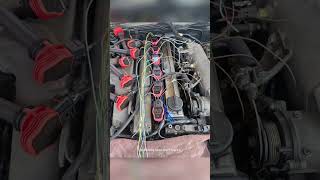 2jzgte swap EMU Black harness construction