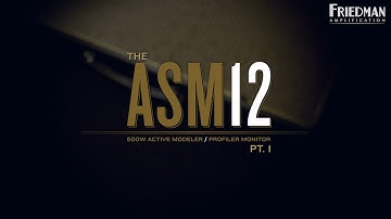Friedman Amplification - ASM12 Pt.1