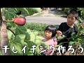 干しいちじく作って食べた日#338