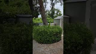 Lot 406 River Ranch RV Resort